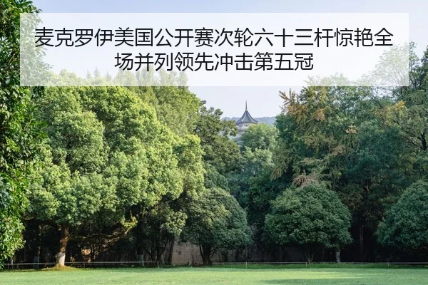 麦克罗伊美国公开赛次轮六十三杆惊艳全场并列领先冲击第五冠