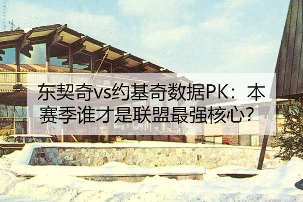 东契奇vs约基奇数据PK：本赛季谁才是联盟最强核心？